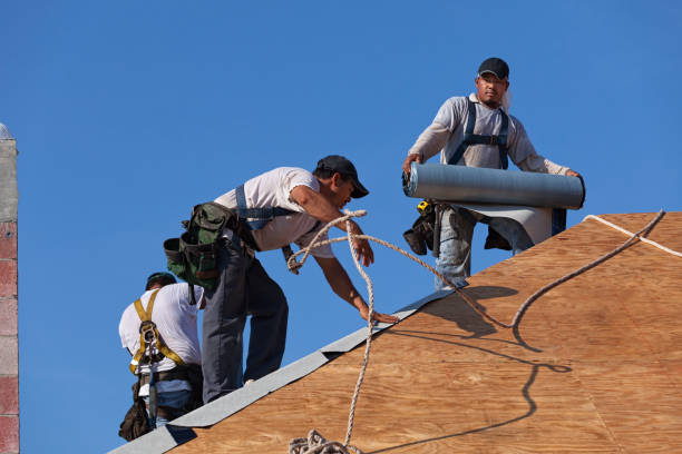 Best Roof Waterproofing Services  in Hamlin, TX
