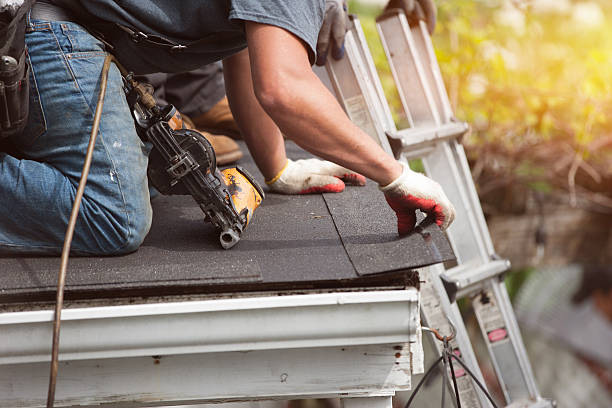 Best Roof Gutter Cleaning  in Hamlin, TX